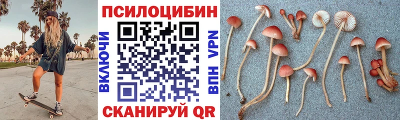 kraken сайт  купить  сайты  Верея  Псилоцибиновые грибы Psilocybine cubensis 